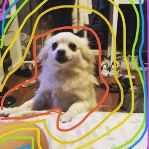 Meet your Posher, Andrea